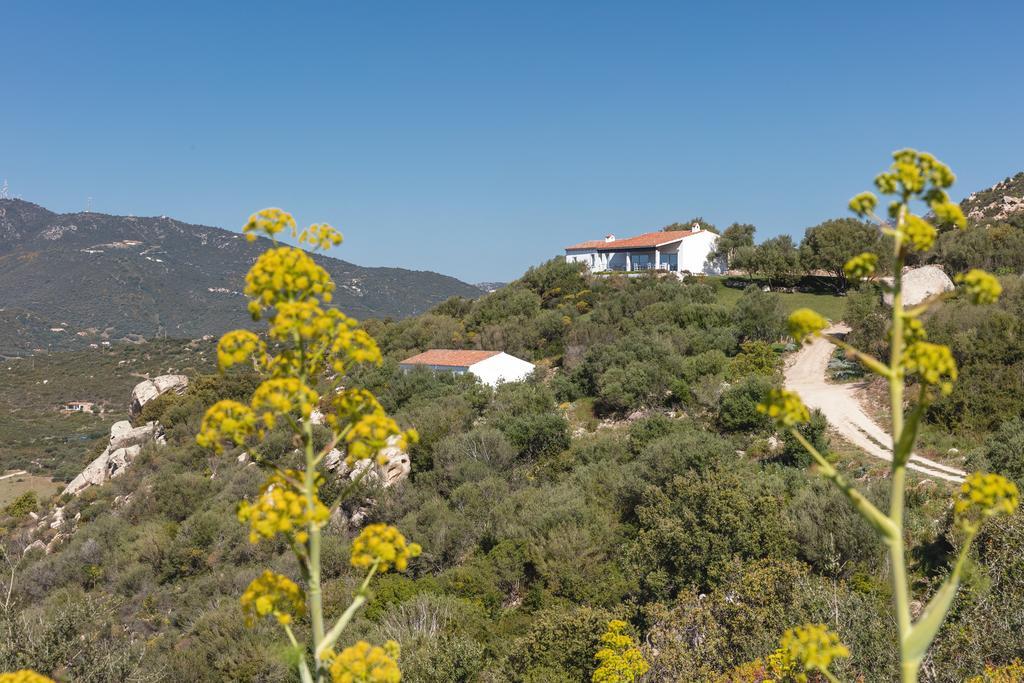 Agriturismo Cabu Abbas Villa Olbia Bagian luar foto